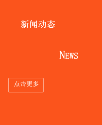 新聞動態